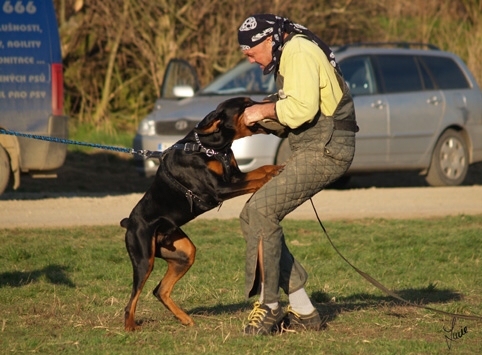 Training in Prague 3/2007